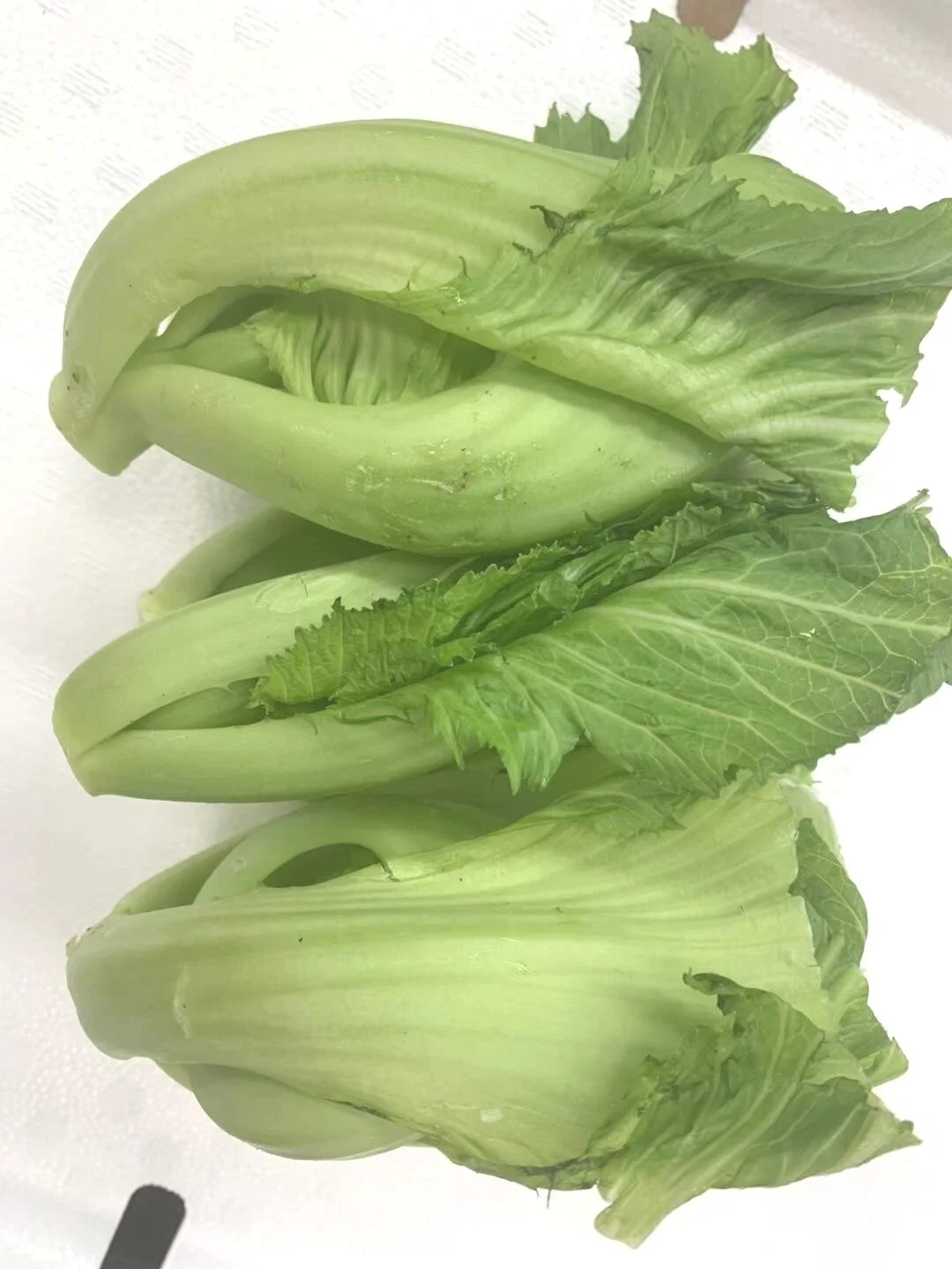 MUSTARD GREEN HEART 芥菜胆— Sun's Market